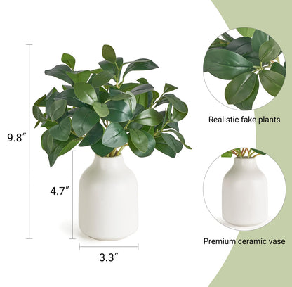 Dahey Fake Plants in Small Ceramic Vase Realistic Artificial Faux Plants Indoor Modern Farmhouse Table Centerpieces for Bathroom Kitchen Shelf Living Room Home Greenery Decor, White