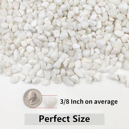 YISZM 10LB Succulent and Cactus Gravel Pebbles, 3/8 Inch Natural Decorative Polished Stones, River Rocks for Plants, Vases, Aquariums, Terrarium and Outdoor Gardening, White