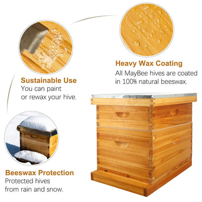 MayBee 10 Frame Screened Bottom Board Beehive Dipped in Original Beeswax, Bee Hives Kit Includes 1 Deep Box & 1 Medium Box with Beehive Frames and Wax Coated Foundations