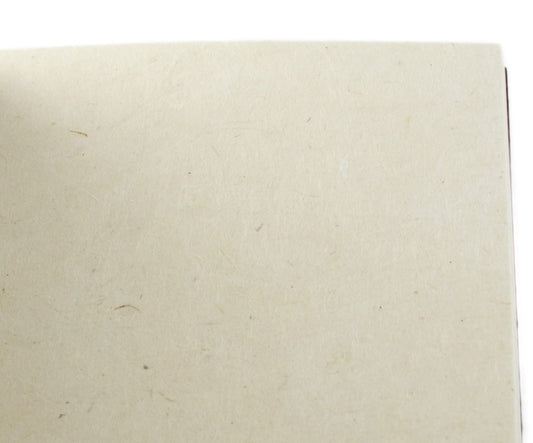 Nepali Companion 8.5x11 inch Notebook with Handmade Paper and Vegetable-Dyed Softcover, Vintage Composition Notebook for Office, School, and Home, Handcrafted in Nepal (Large, Sage)