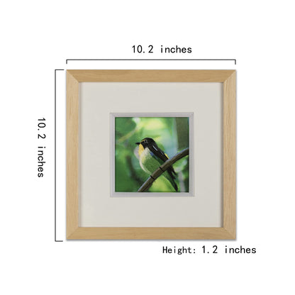 Ebherys Hunan Hand Embroidery Artwork, Handmade Paintings with Wood Frame Hanging on the wall as Room Decoration Home Accessories, Meaningful Gifts for Mother Daughter and Friends (Robinbird)