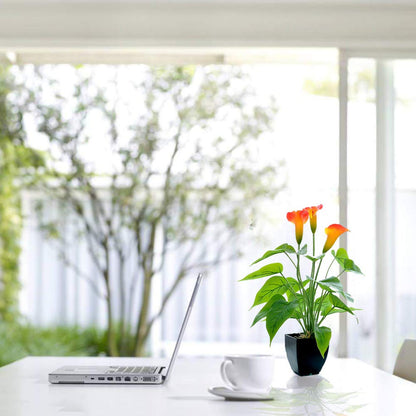 Beebel Artificial Flower Plants Calla Lily Faux Small Potted Plant with Black Pot Fake Bonsai Flower for Home, Office, Indoor and Outdoor Occasions Decor (Orange Fake Flower)