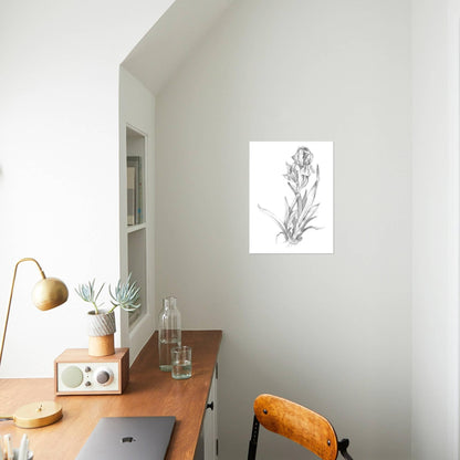 ART.COM Wall Art Prints Botanical Sketch VI by Ethan Harper, Botanical Decor, 12" x 16"