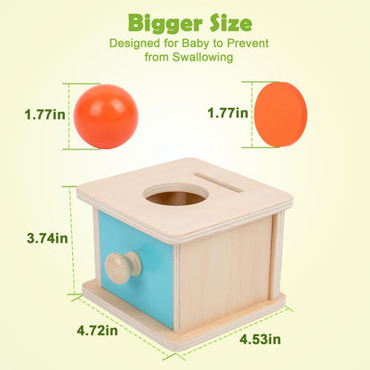 Adena Montessori Infant Toddlers Coin Box Montessori Toys for 6-12 Months Babies 1 Year 2 Year Old (2 in 1,Coin&Ball, Blue Door)