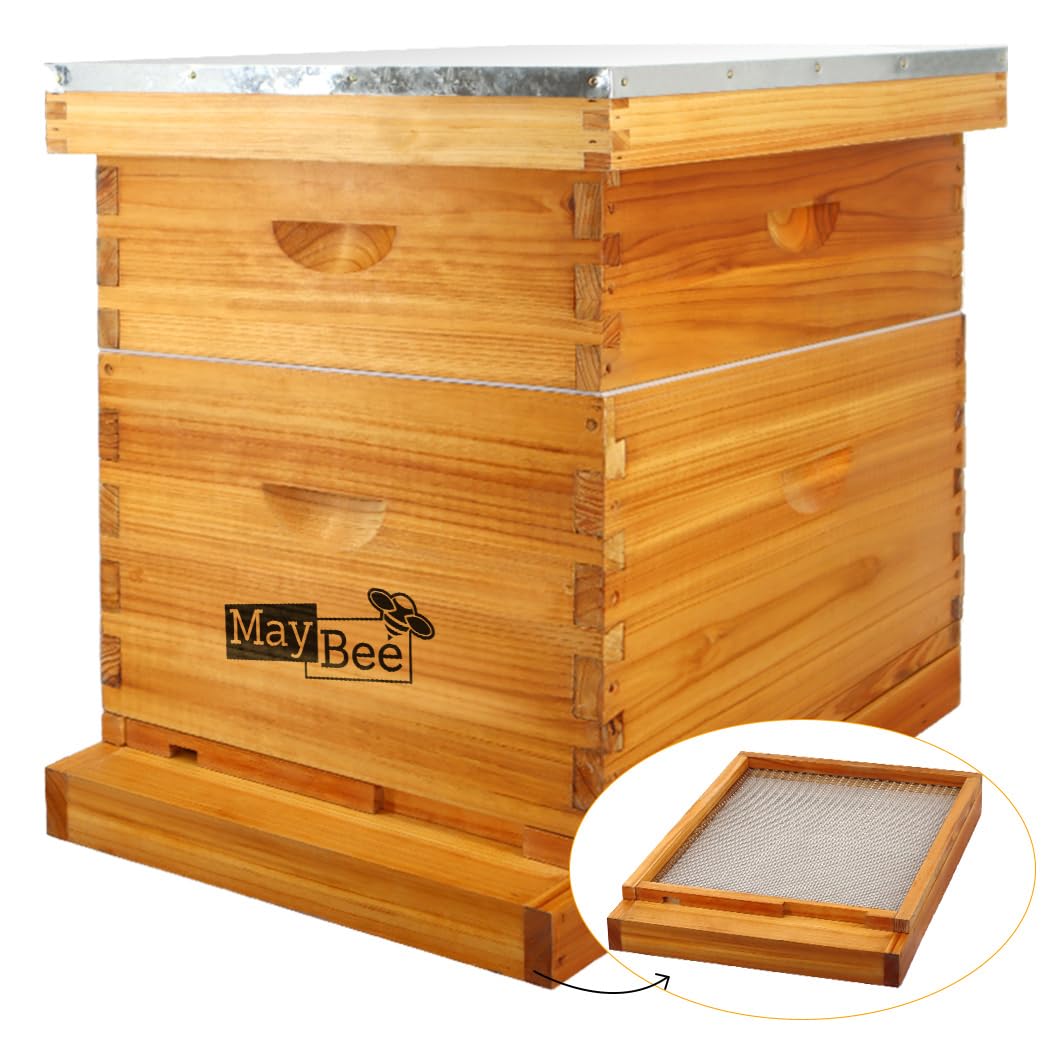 MayBee 10 Frame Screened Bottom Board Beehive Dipped in Original Beeswax, Bee Hives Kit Includes 1 Deep Box & 1 Medium Box with Beehive Frames and Wax Coated Foundations