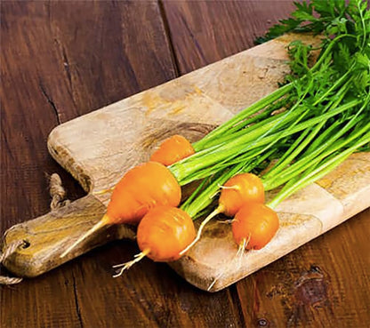 Round Baby Parisian Carrots Seeds A Delicacy Prised by Gourmet Restaurants Delicious Carrot Vegetable Seeds - 1000 Seeds
