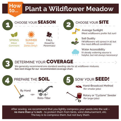 UtopiaSeeds Blue Wildflower Seed Mix - Attracts Hummingbirds and Butterflies - Easy to Grow