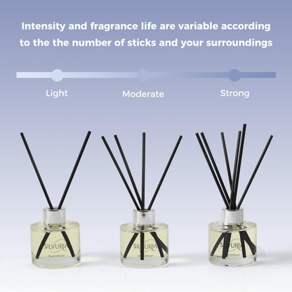 SILVURIA Reed Diffuser Set,2x100ml Bamboo Scented Oil Diffuser with 12 Reed Sticks,Long-Lasting Home & Office Fragrance for Living Room,Bedroom