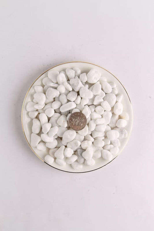 ScapeStone Succulent and Cactus Gravel Pebbles, 1/5 Inch Natural Polished Stones, Grey River Rocks for Plants, Vases, Aquariums, Terrarium and Outdoor Gardening