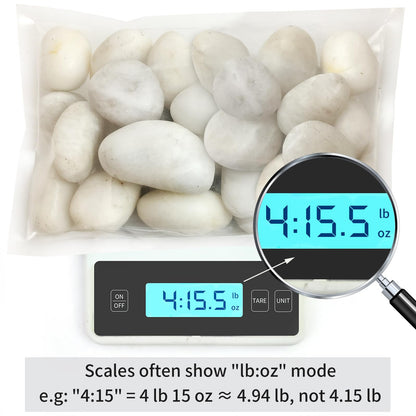 FANTIAN 5 lbs Large White River Rocks, 2-3 inch Pebbles for Indoor Plants, Polished Decorative Stones for Planters Vase Aquarium and Outdoor Garden Landscaping Rocks