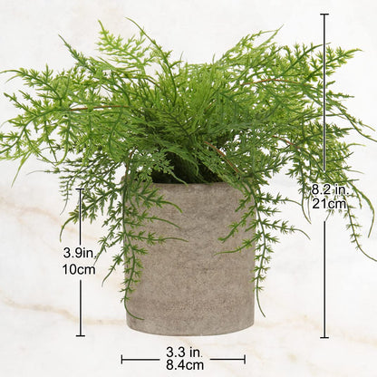 Hollyone Small Fake Plant Potted Plants Artificial Decor Silk Ferns Plant Faux Plants in Pots for Home Living Room Bedroom Desk Bathroom Window Shelf Farmhouse Decoration