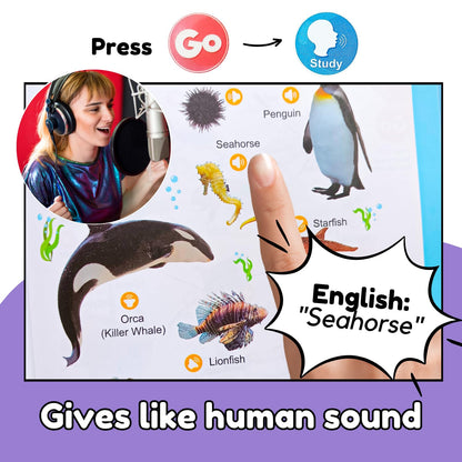 ZeenKind English Words Sound Book for Kids Toddlers 3,4,5 Years Old, 300+ Words Talking Interactive Audio Books for Early Learning English, and Educational Electronic Toy