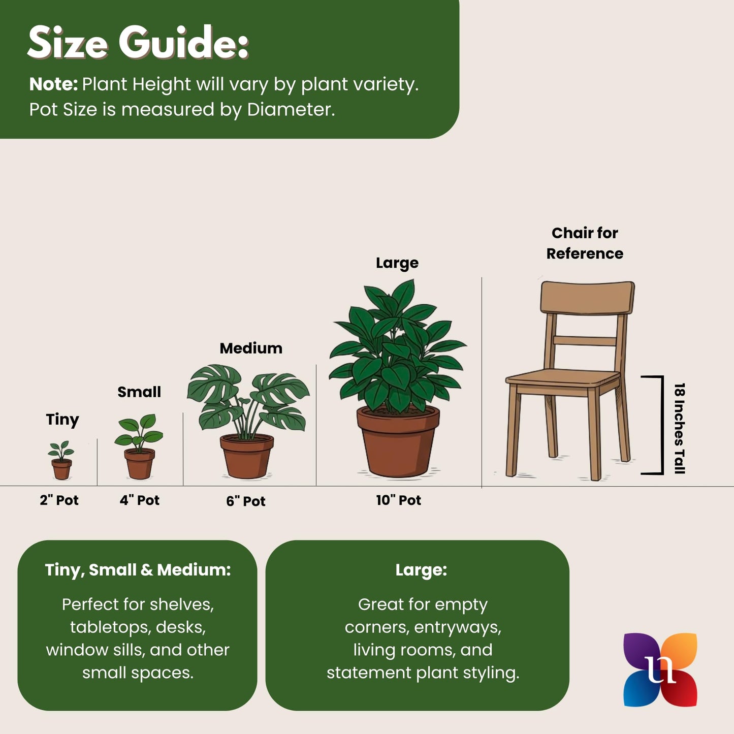 Monstera Deliciosa Live Plant by United Nursery, Swiss Cheese Plant, 24–28 inches Tall in 10 inch Plant Pot, Indoor House Plant, Easy Care Floor Plant for Patio, Office, or Home Decor
