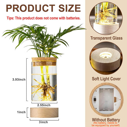 Glass Plant Propagation Stations, Propagation Vases for Plants with Ambient Light Base, Hydroponic Vase for Home & Office Windowsill Tabletop Decoration Desktop Vases for Living Room, Bedroom (6)