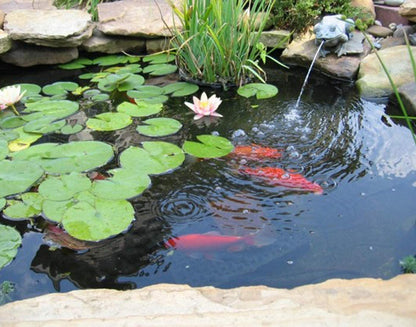 UWIOFF Pond Liner, 20 Mil 7 x 10 Feet Pond Liners for Outdoor Ponds, Black HDPE Fish Pond Liner for Koi Ponds, Streams Fountains and Garden Waterfall