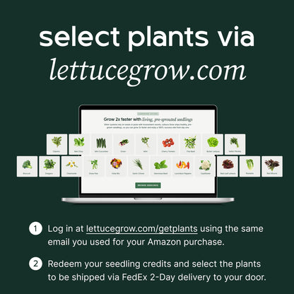 Lettuce Grow Counterstand Hydroponic Garden, Indoor Gardening System Hydroponics Growing System Kit, Herb Garden Planter Indoor Kit Countertop Vase Style No Grow Light