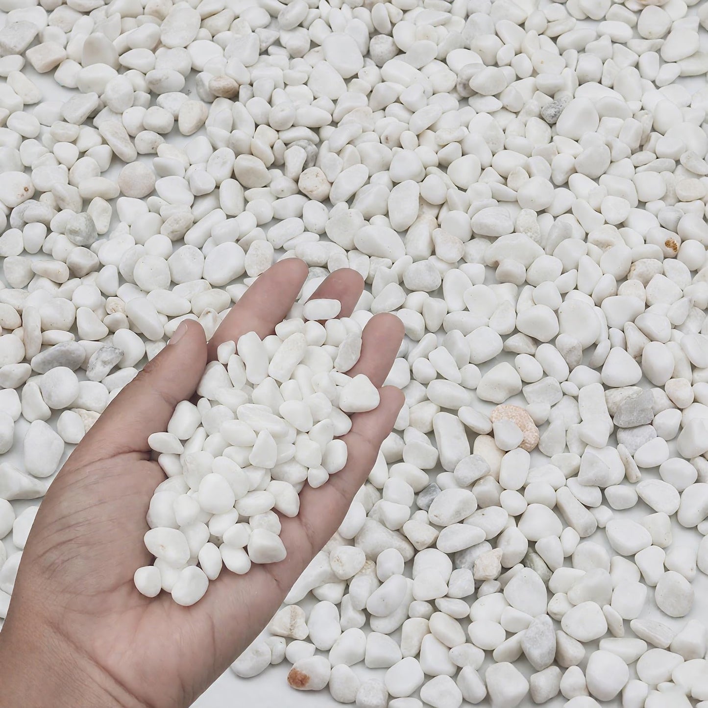 FAHAXIKI 6LB White Succulent & Cactus Gravel Pebbles - 1/4-3/8 Inch Natural Polished River Rocks, Decorative Stones for Plants, Terrariums, Vases, Aquariums & Outdoor Gardening