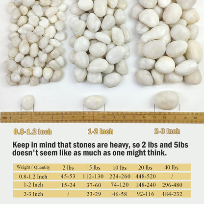 FANTIAN 5 lbs White River Rocks, Polished Pebbles for Indoor Plants, 1-2 inch Decorative White Stones for Plants Vase Aquarium Fish Tank and Outdoor Garden Landscaping Rocks