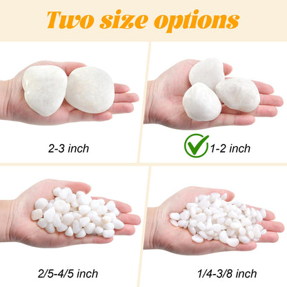 RUOJAS 5 lb Natural Polished White Pebbles, 1-2 Inch Decorative White Rocks for Potted Plants Pot Filling Aquariums Outdoor Street Scape Decorative Rocks