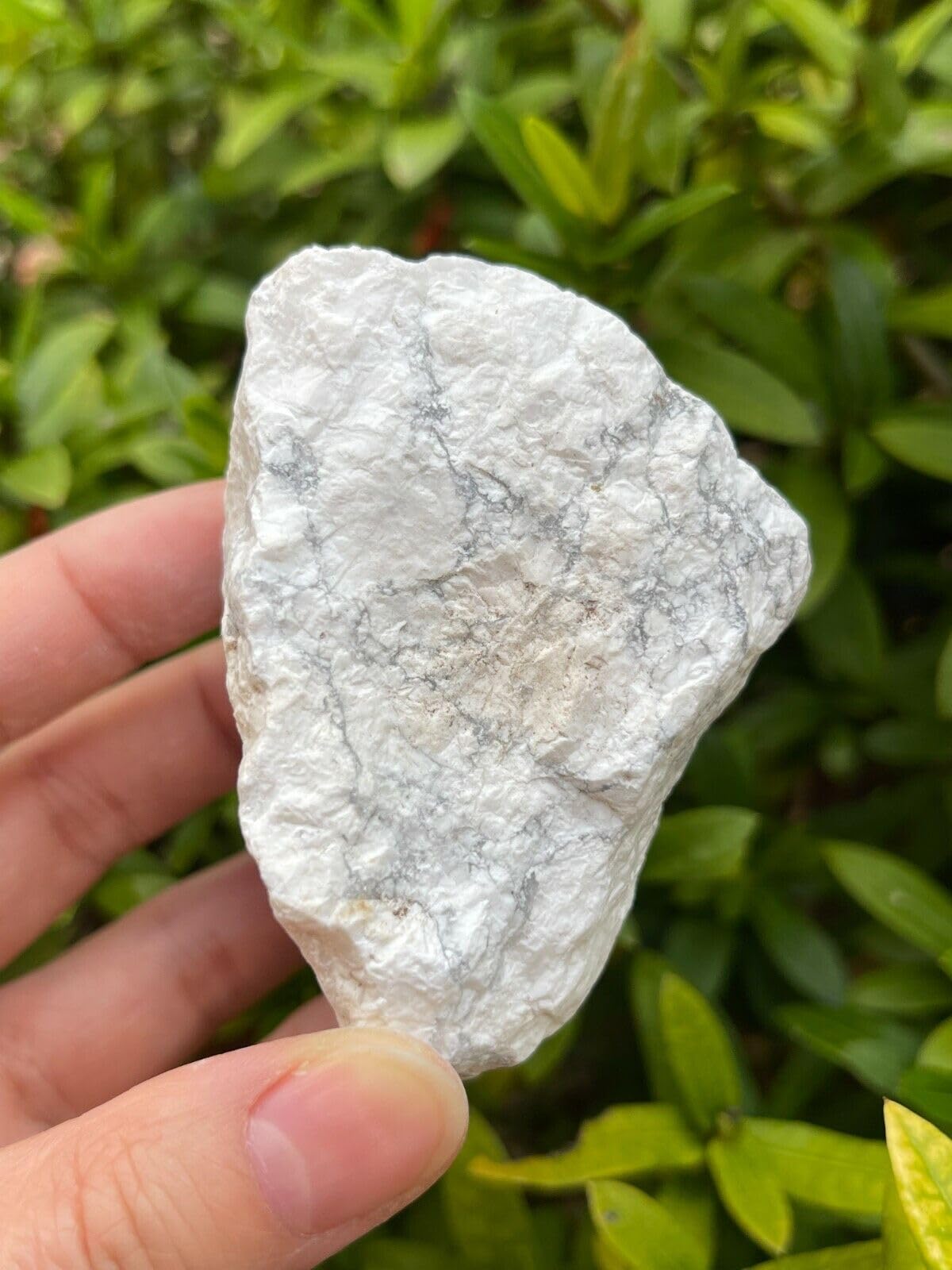 GAF TREASURES XL Raw White Howlite, 3-4" Natural White Howlite Stone, White Howlite Rough, White Howlite Healing Rough Crystal (White Howlite, 0.5-1 lb)