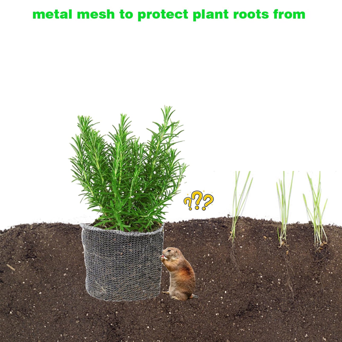 10 Packs Gopher Baskets 5 Gallon Size Stainless Steel Metal mesh to Protect Plant Root from Gophers, Moles and Voles