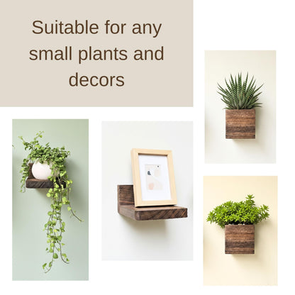 LaLaGreen Wood Planter Box for Indoor Plants (6 Pack) Wooden Wall Hanging Planters for Dried Flowers, Modern Farmhouse Wall Mount Greenery Decor Living Room, Bedroom, Kitchen, Office Home Garden