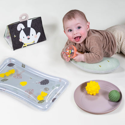 Taf Toys Baby Tummy Time Kit - High Contrast Black and White Crinkle Book, Support Pillow, Activity Water Mat, Sensory Balls, Plate - Newborn Infant Sensory Toy Set