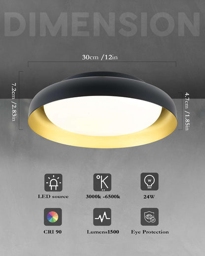 Ken & Ricky Flush Mount Ceiling Light Fixture, Led Dimmable 24w for Bedroom Kitchen Bathroom Laundry Hallway Entryway,Remote Control (Black and Gold,12Inch,1PK)
