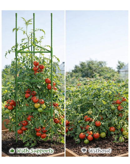 Growsun 51 inch Tomato Cage Heavy-Duty Plant Support Cucumber & Vine Vegetables – Adjustable Green Metal Garden Trellis for Climbing Plants, Indoor & Outdoor Use, 1 Pack