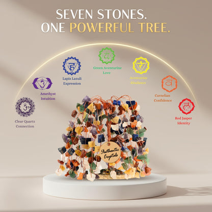 ANAYA AGATE 7 Chakra Tree of Life Feng Shui Crystal Tree for Home Décor, Wealth, Luck & Protection, Spiritual Reiki Healing Bonsai for Positive Energy Gift, Meditation & Manifestation Decor