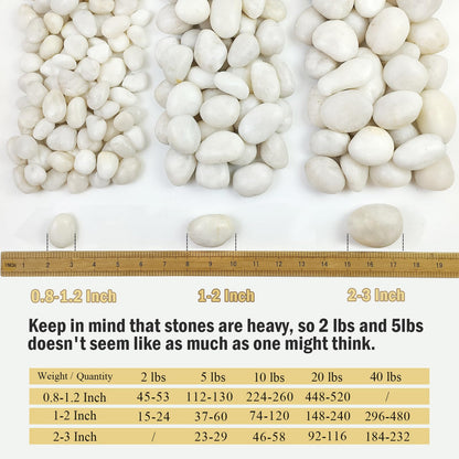 FANTIAN 5 lbs Large White River Rocks, 2-3 inch Pebbles for Indoor Plants, Polished Decorative Stones for Planters Vase Aquarium and Outdoor Garden Landscaping Rocks