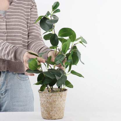 SAROSORA Artificial Ficus Tree Small Fake Plants in Weaved Pot 20" Height for Living Room Desktop Decor Indoor Home Office Ins Style (Green, 1)
