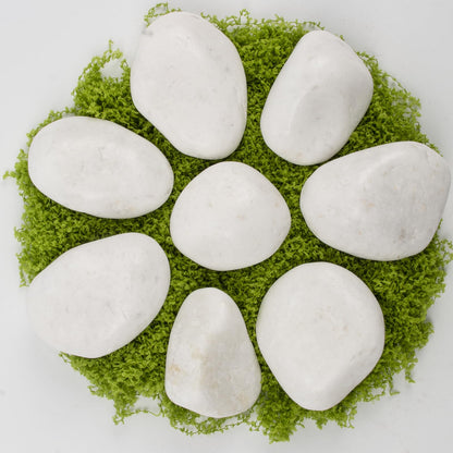 10lbs White Natural River Rocks, Polished Pebbles for Plants Garden, 2-3 inch Decorative White Stones, Ideal for Fish Tank, Vases, Crafting, Home Decor and Garden Landscaping Rocks