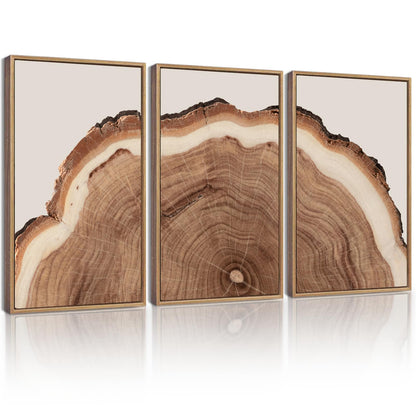 KUVIOKE Framed Tree Rings Wood Wall Art Modern Retro Beige Wood Stump Wall Decor Nature Rustic Artwork for Farmhouse Living Room Bedroom Decor 12x16in (Natural Framed)