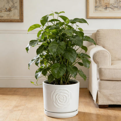 Ekirlin 7 Inch Indoor Plant Pots, White Ceramic Flower Planters, Modern Style Succulents Containers with Drain Hole & Saucer Tray, Weatherproof Pot for Decorate Home,Office & Outdoor (Rose Design)