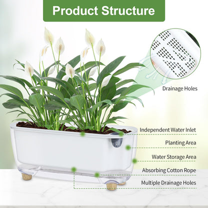 Oliz Self Watering Planter with Coco Coir Pellets, 11.8 Inch Plastic Rectangular Windowsill Plant Pot with Drainage Holes, High Clear Modern Decorative Flower Pot for Indoor Plants, African Violets