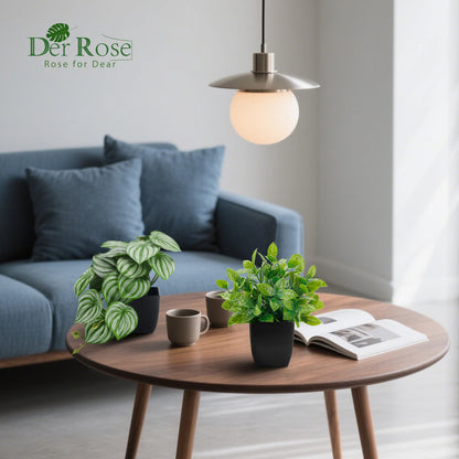 Der Rose 6 Pack Fake Plants Small Artificial Plants in Black Pots for Home Office Desk Bathroom Aesthetic Farmhouse Room Decor Indoor