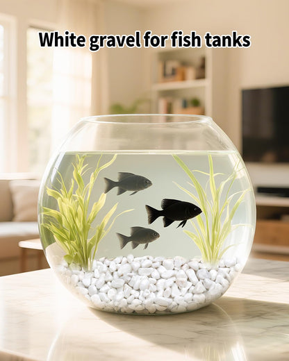 FAHAXIKI 6LB White Succulent & Cactus Gravel Pebbles - 1/4-3/8 Inch Natural Polished River Rocks, Decorative Stones for Plants, Terrariums, Vases, Aquariums & Outdoor Gardening
