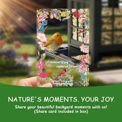 Birdream 2 Pack Bird Feeders for Outdoor Hanging, Assembly Required, 1-Min Easy Setup, Classic Courtyard Design, Attracting Cardinals Chickadees Goldfinches & Sparrows, Total 7 LB - Black