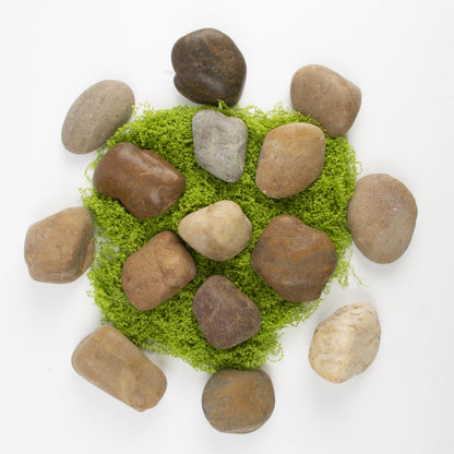 LOOIOOJ 10LB Mixed Stones Pebbles River Rocks, Natural Beach Pebbles,1-2 Inch Decorative River Rocks for Landscaping Garden Paving Plant Rocks Crafting Walkways and Outdoor Decorative Stone