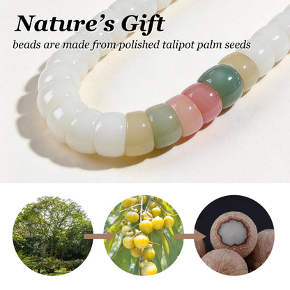 Embtrem Fidget Bracelet Natural Bodhi Seeds Beaded Bracelets Zen Fidget Stretch Bracelets Alleviate Anxiety Stress Protection Healing Bodhi Jewelry Gifts for Women Men