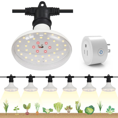 DingChen Outdoor Grow Lights Waterproof, Full Spectrum String Grow Light with 22FT Light String Cord for Seedling, Veg, Flower in Greenhouse, Garden, Backyard, Farm (6 Lights, with Smart Plug)