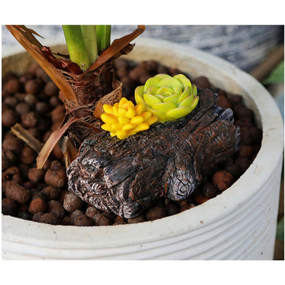 Hidden key Holder, Hide a Spare Key Fake Tree Stump Succulent Planter, Resin Secret Storage Box for Outdoor Garden Yard Patio Landscaping or Geocaching