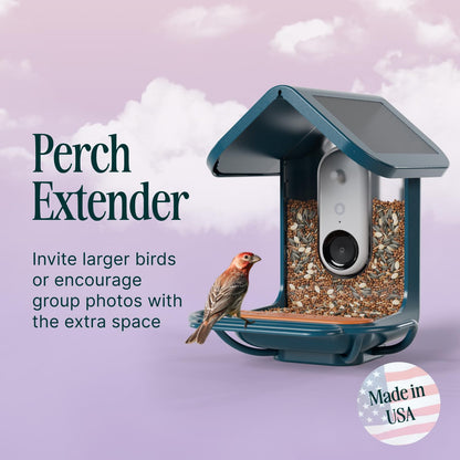 Birdbuddy Blue Perch Extender – Add-On Accessory for Better Watching Experience - Outdoor Bird Perch - Weatherproof and Durable