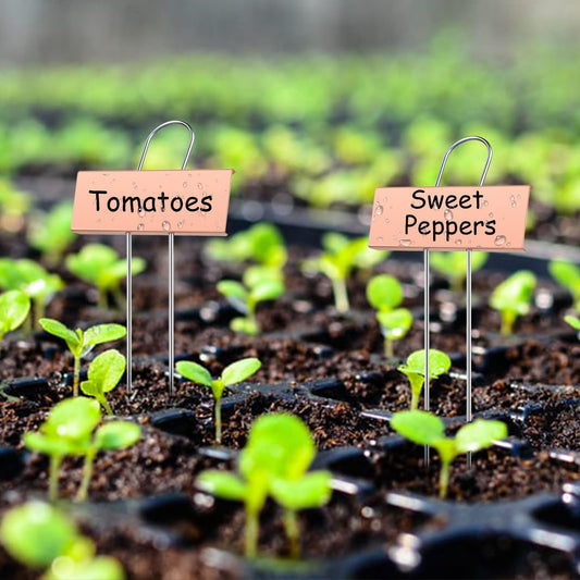 SUSUSUBAO 30-Pack Rust-Proof Metal Plant Labels with Galvanized Stakes, Height 10.6" Label Area 3.5"x1.2", Waterproof Weatherproof Garden Markers, Reusable Tags with 2 Pens (Gold)