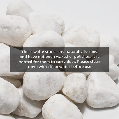 LOOIOOJ White Natural River Rocks, 2-3.5 Inch Decorative Stones for Plants, Garden, and Landscaping – 40LB, Ideal for Fish Tanks, Vases, Crafting, Home Decor, and Outdoor Landscaping