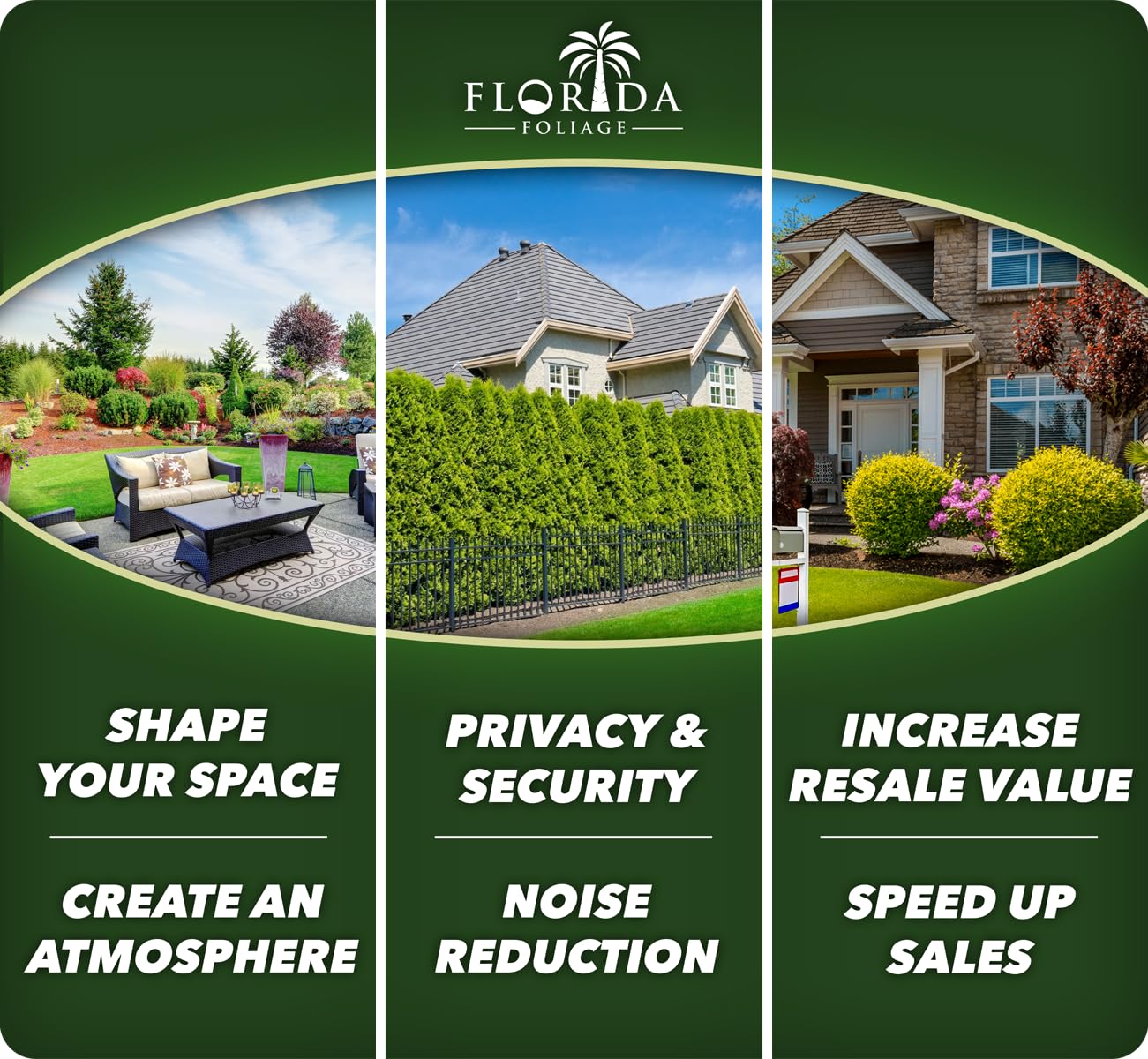 Red Maple Tree | 3 Live Trees | Acer rubrum | Native American Beauty Fast-Growing Shade Tree | Fall Foliage Wildlife-Friendly Habitat