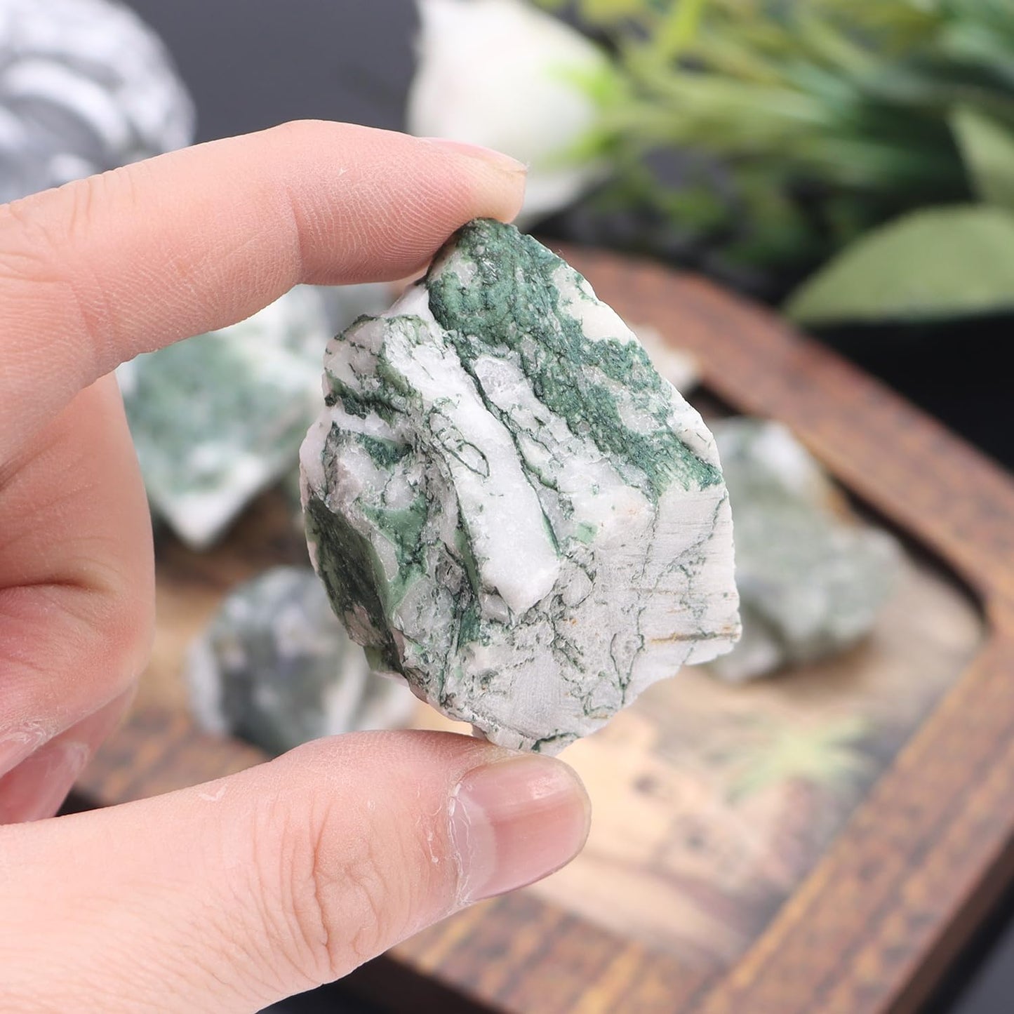 1Lb Moss Agate Rocks Raw Crystals and Healing Stones for Jewelry Making, Healing, Meditation, Sculpture, Lapidary, Polishing, Reiki Crytsal