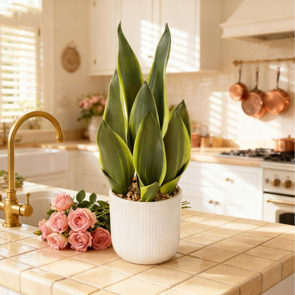 DUZYXI Artificial Realistic Snake Plant 16" with White Ceramic Pot Fake Snake Plants Sansevieria Greenery Faux Snake Plant for Home Office Living Room Housewarming Gifts Indoor Decor