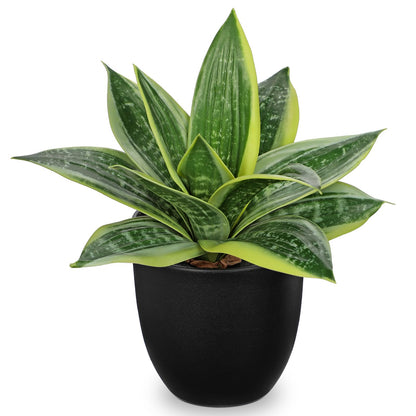 Hollyone Artificial Snake Plants 9" Faux Agave Succulent Plant Potted in Black Pot Fake Sansevieria Aloe Tropical Plant for Desk Modern Office Home Bathroom Indoor Outdoor Decor